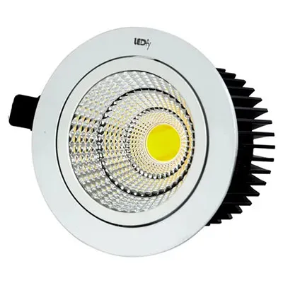 LED COB Light
